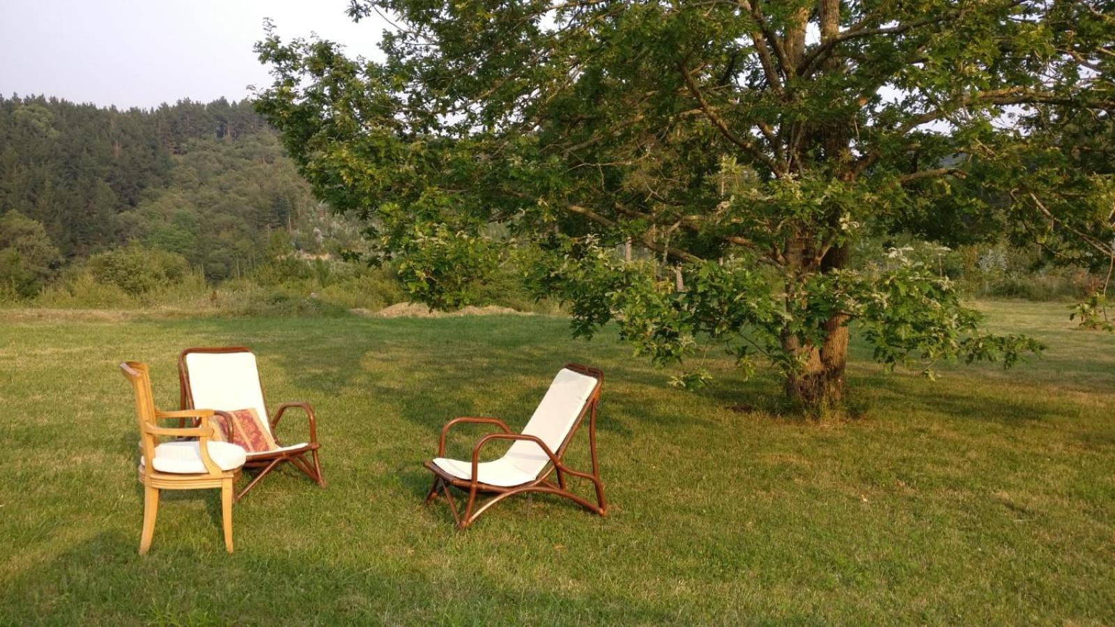 Amplio Apartamento Con Jardin En Casa Rural Haritza Con Vistas Al Mar Ea Esterno foto
